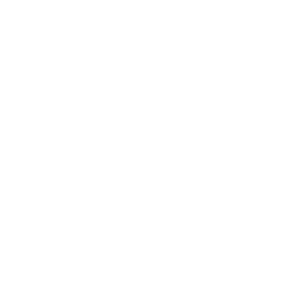 Windows 11