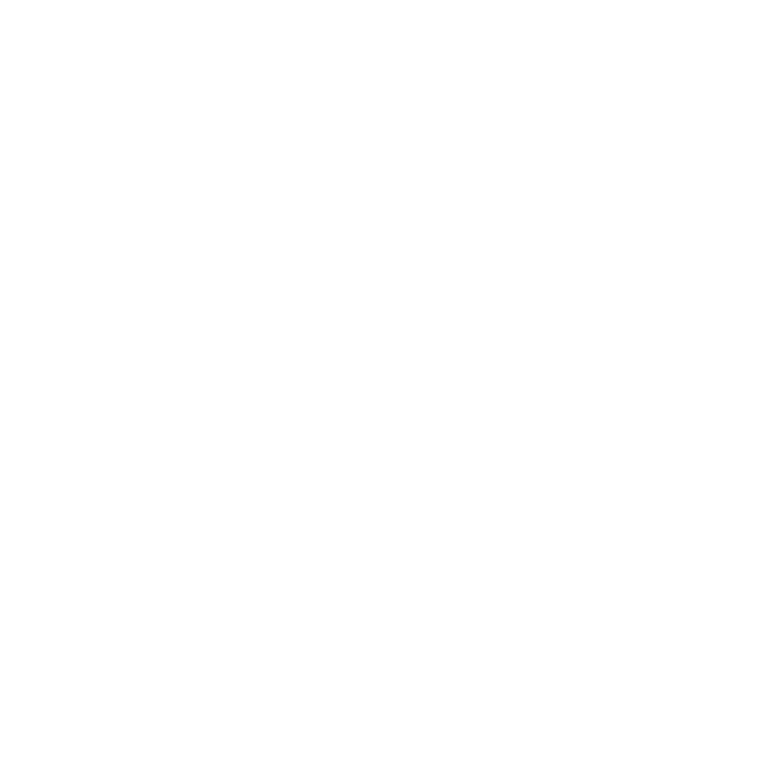 12 swiveling wheels<br />
with brakes